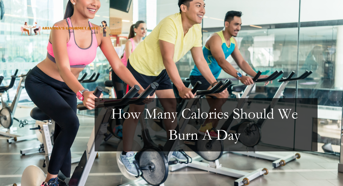 How Many Calories Should We Burn A Day